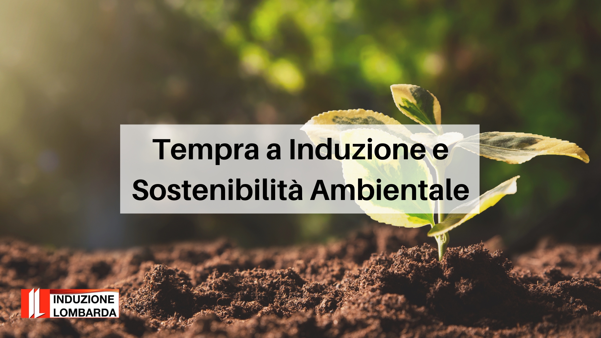 tempra-a-induzione-e-sostenibilità-ambientale-induzione-lombarda