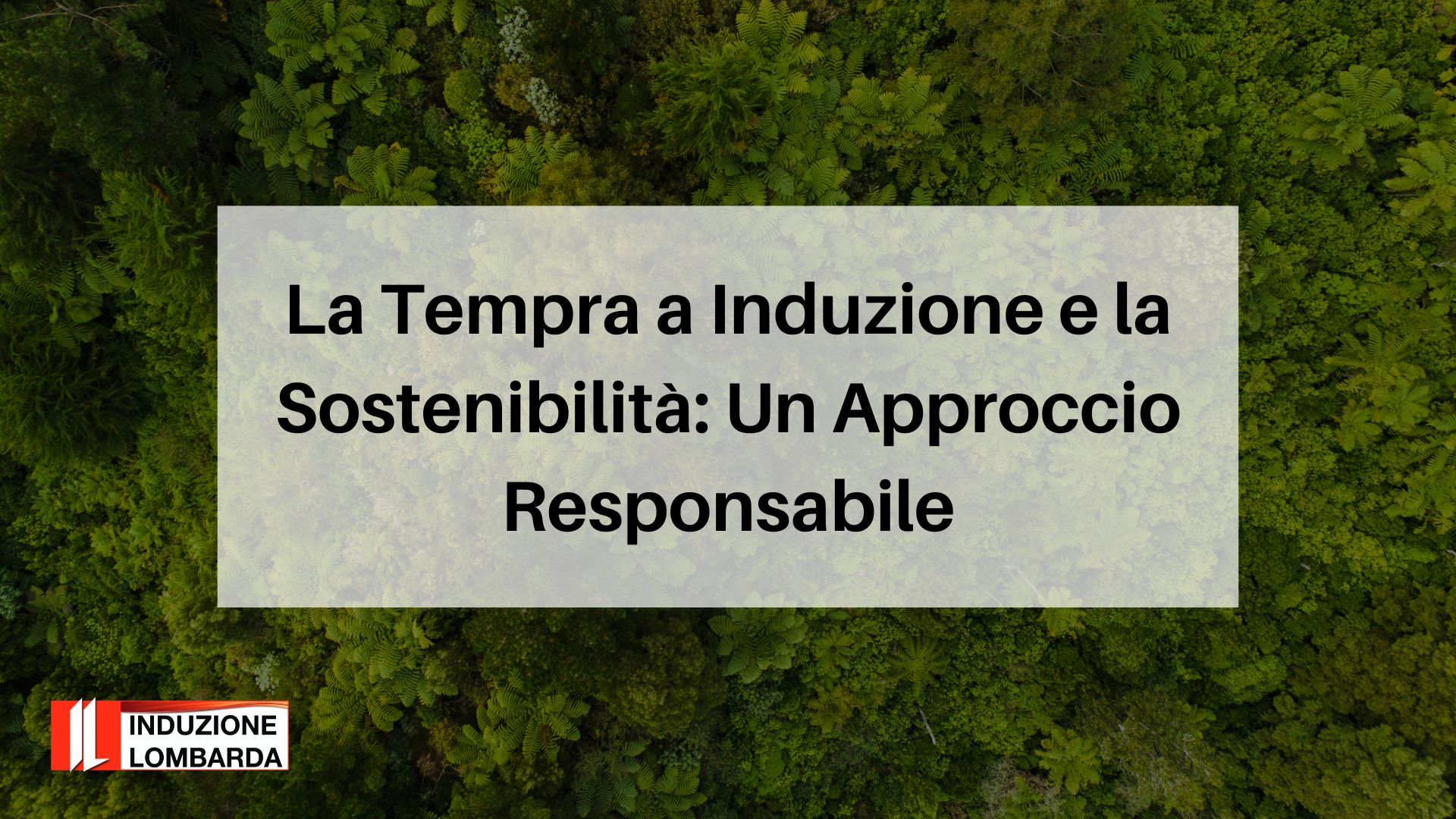 tempra-a-induzione-sostenibile-induzione-lombarda